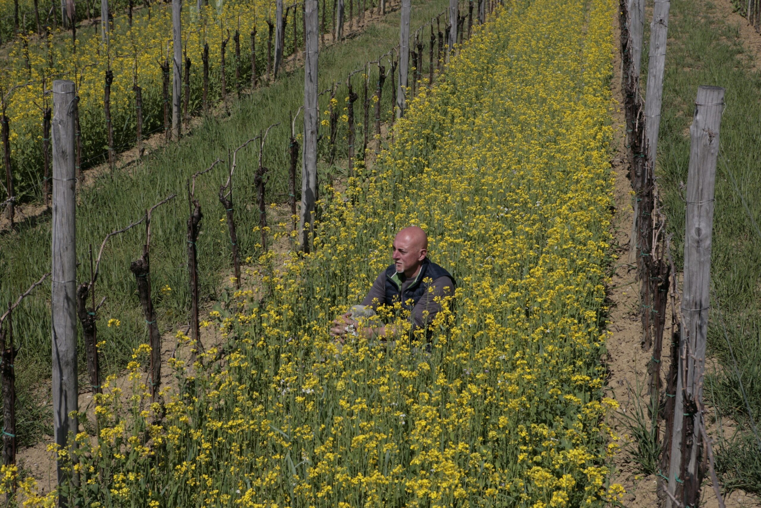 Tiare_Roberto Snidarcig 11)